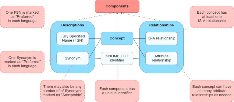 SNOMED CT Basic Structure